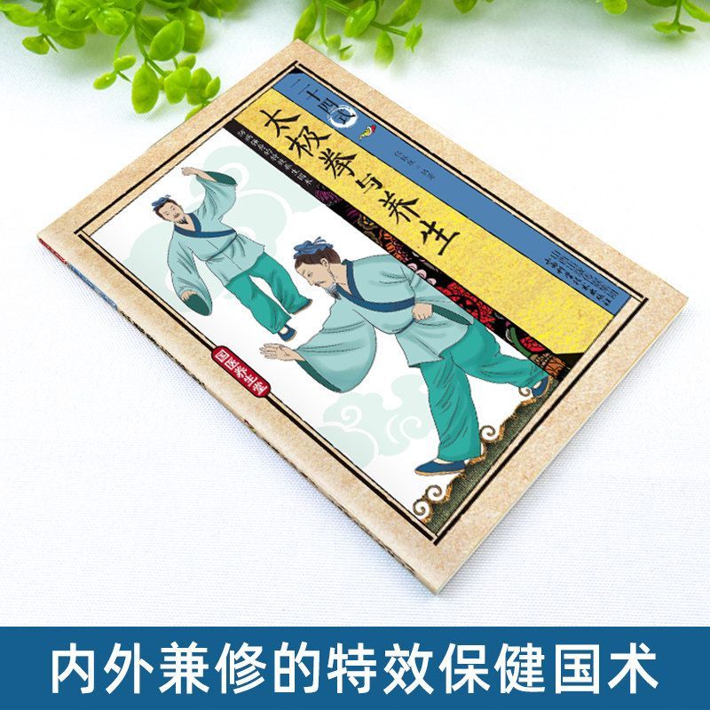 24 Style Tai Chi and Health Ex - Health & Wellness Là Gì recensione e prezzo