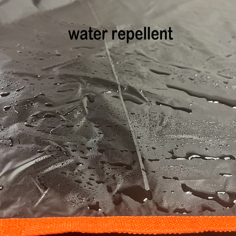 Waterproof Pet Car Mat with Co - Acupressure Mat Set recensione e prezzo