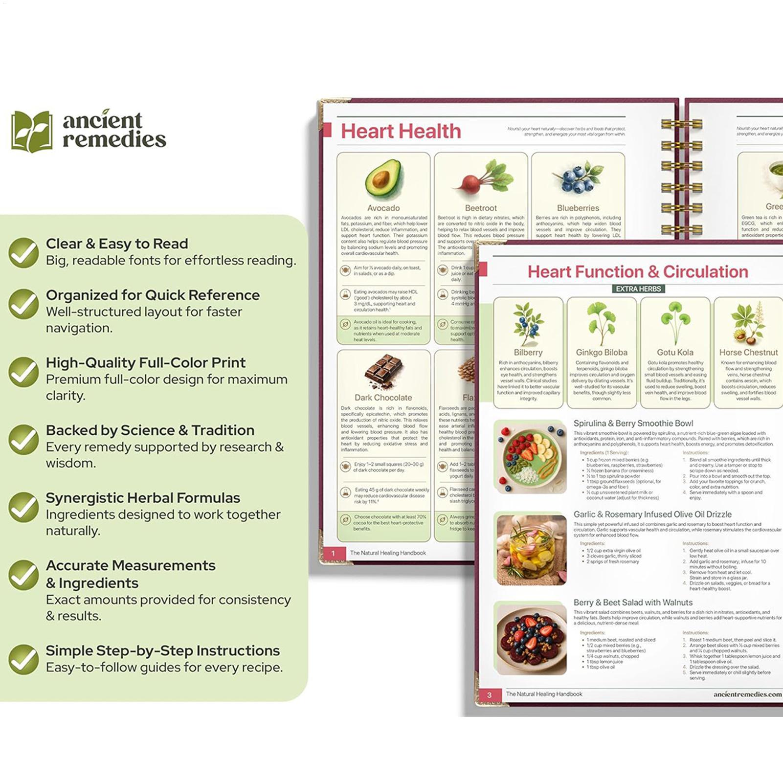 250x176x10mm Human Health Guid - Health & Wellness Là Gì recensione e prezzo