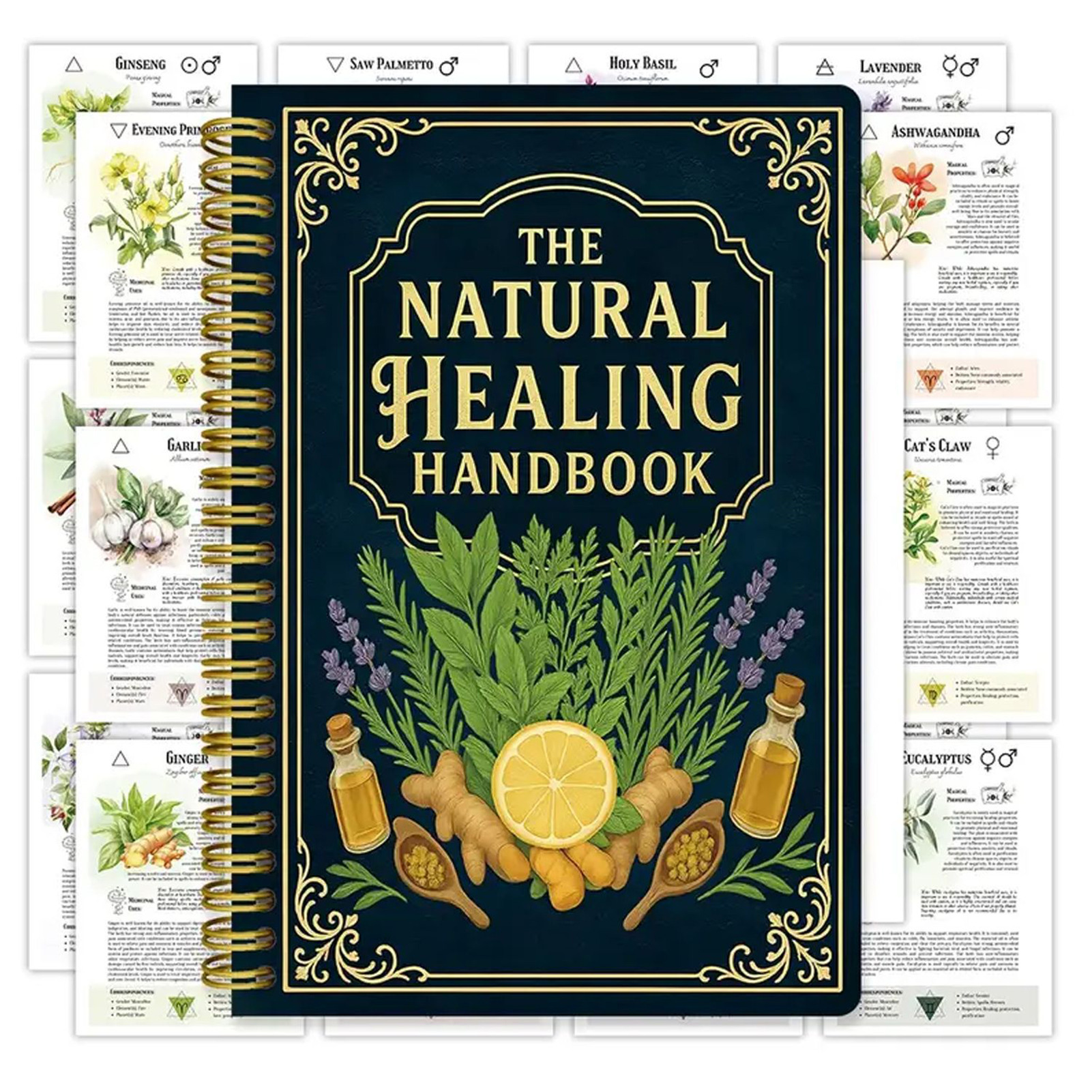 Natural Therapy Handbook, an E - Health & Wellness Là Gì recensione e prezzo